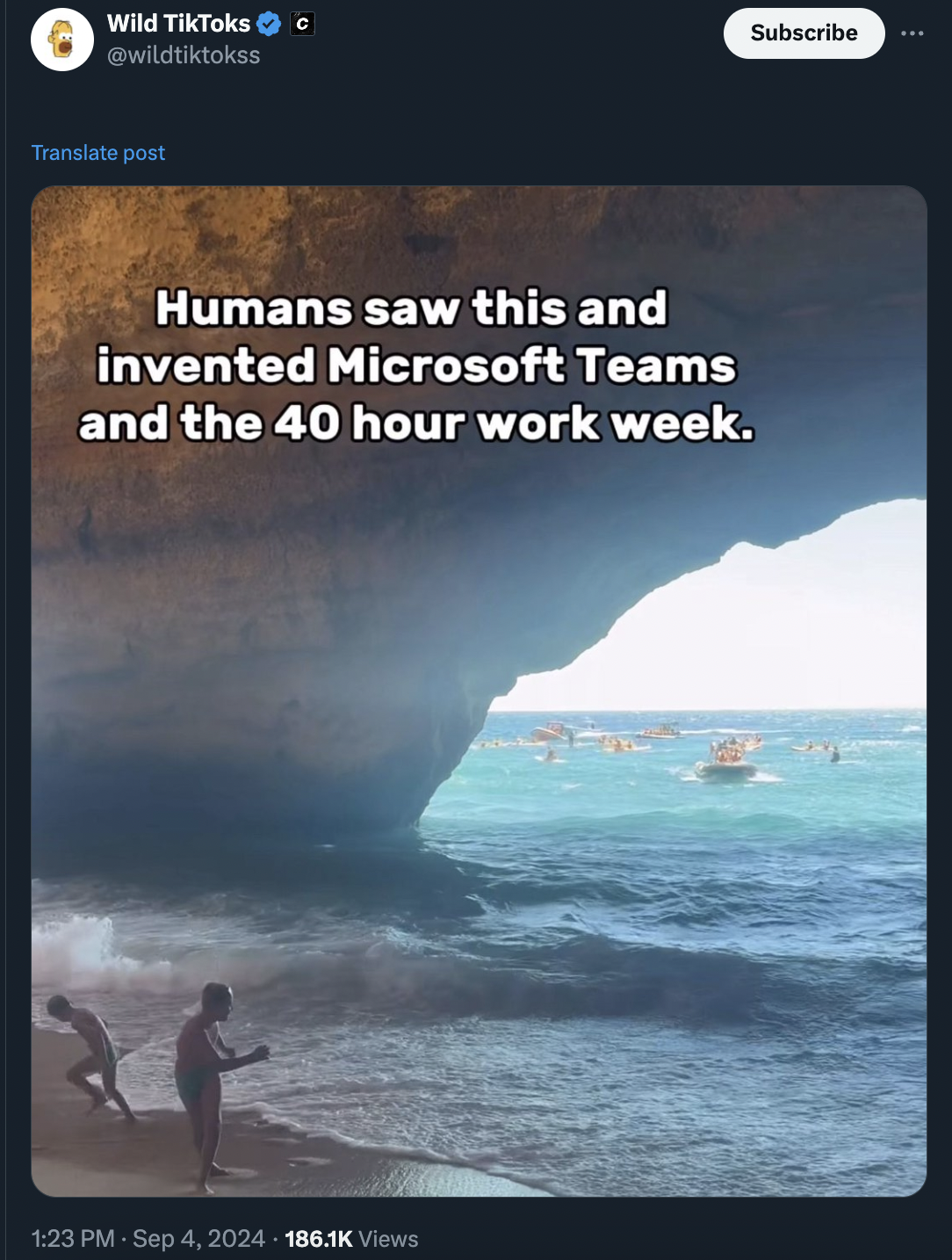 sea - Wild TikToks Translate post Humans saw this and invented Microsoft Teams and the 40 hour work week. Views Subscribe